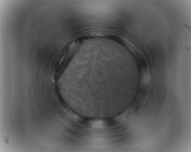 X0000097510513200803142044