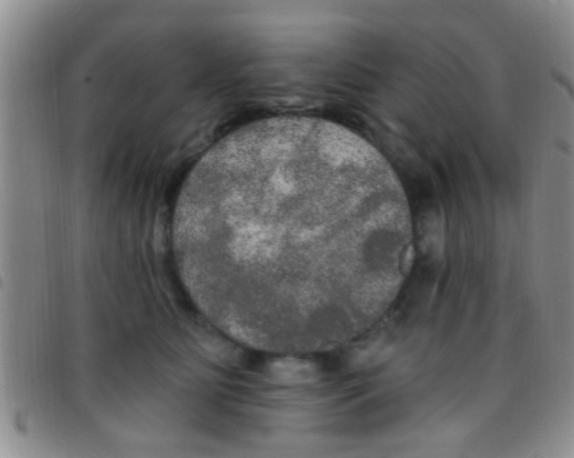 X0000097510515200803142044