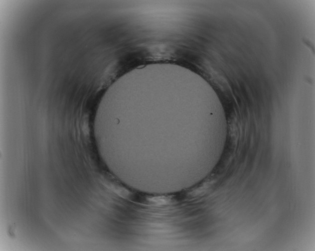 X0000097510516200803142044