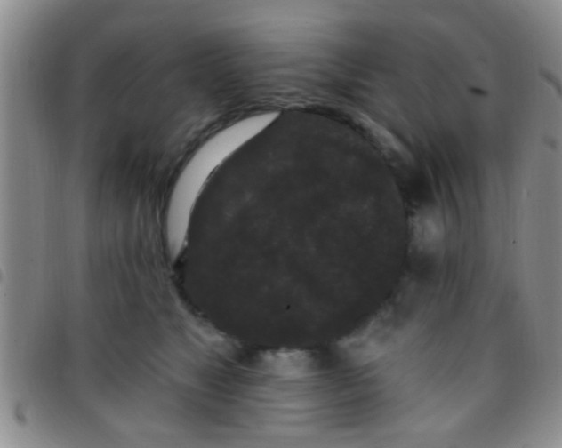 X0000097510517200803142044