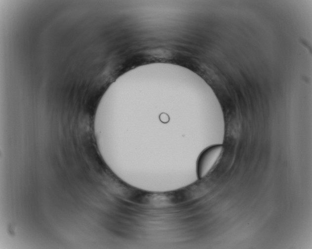 X0000097510518200803142044