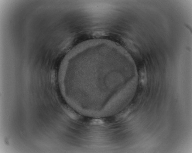 X0000097510519200803142044