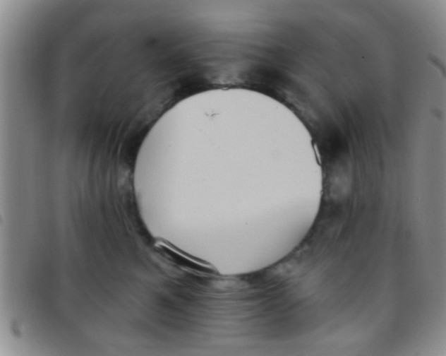X0000097510521200803142044