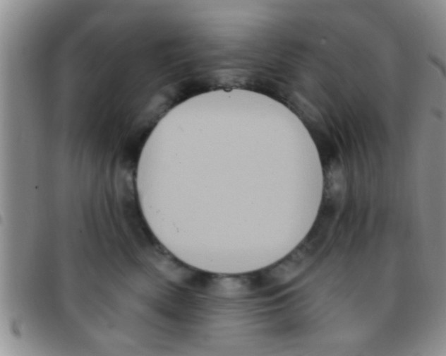 X0000097510522200803142044
