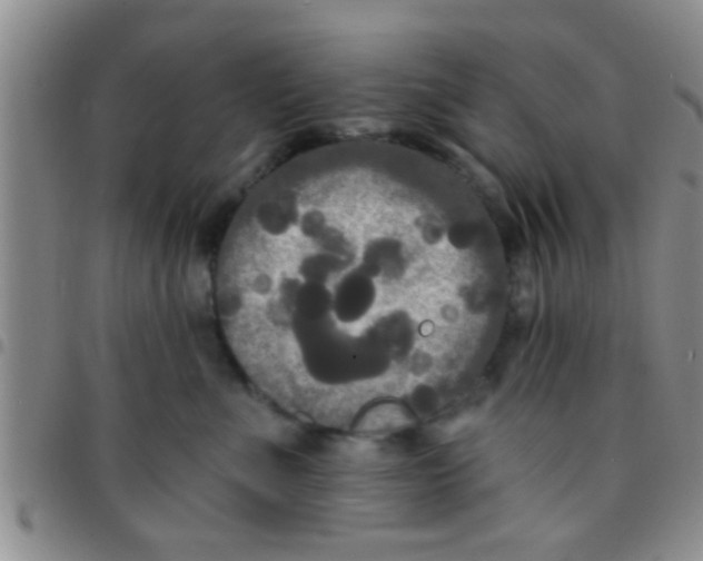 X0000097510523200803142044