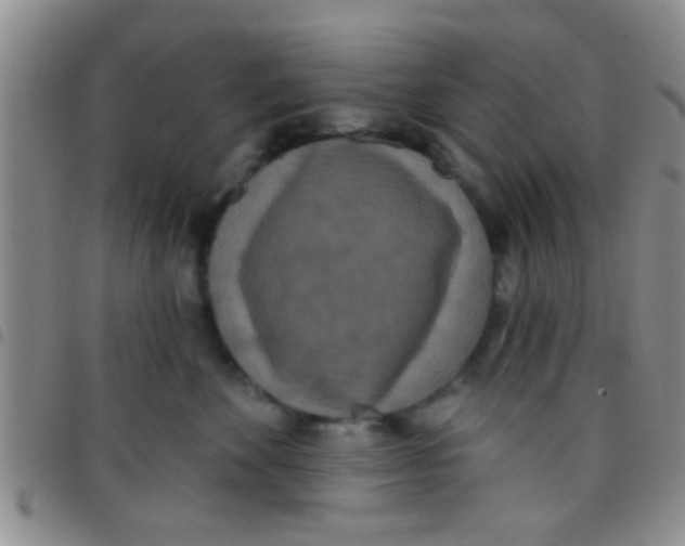 X0000097510524200803142044