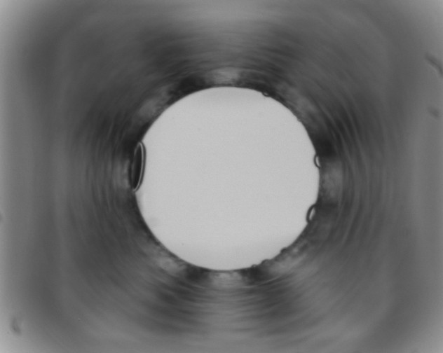 X0000097510525200803142044