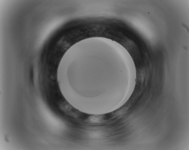 X0000097510526200803142044