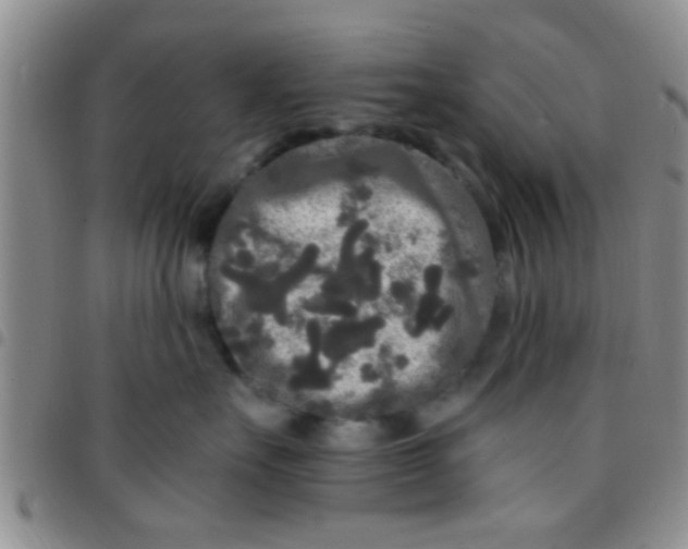 X0000097510527200803142044