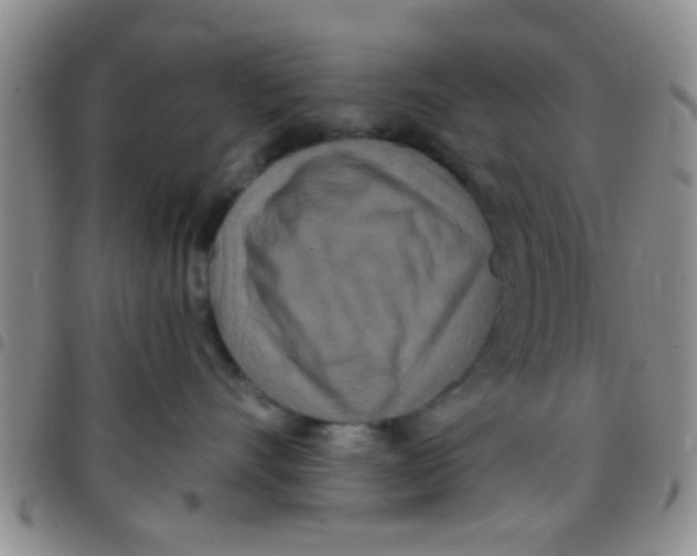 X0000097510528200803142044