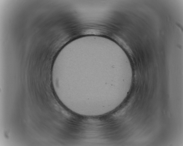 X0000097510529200803142043