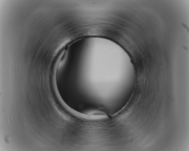 X0000097510530200803142043