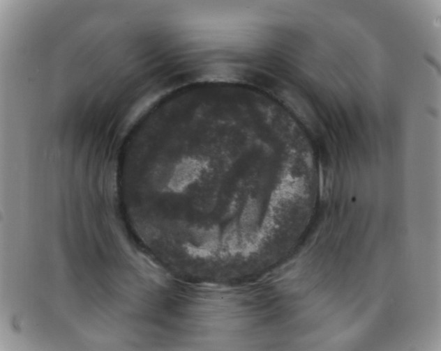 X0000097510531200803142043