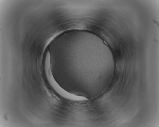 X0000097510532200803142043