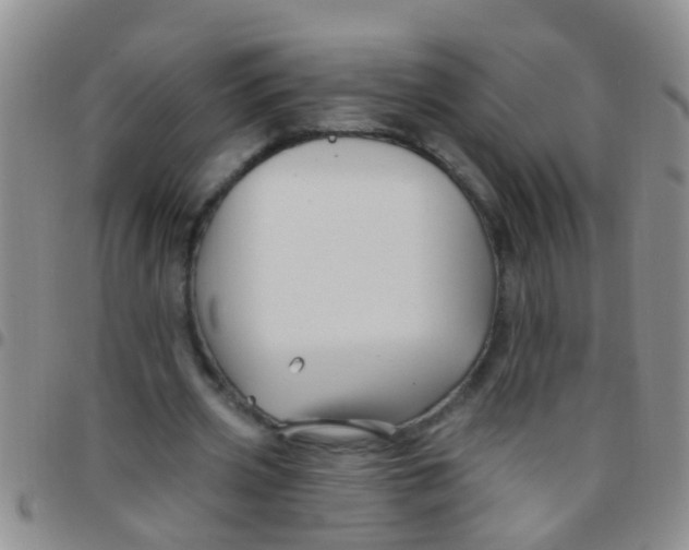 X0000097510533200803142043