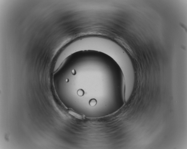 X0000097510534200803142043