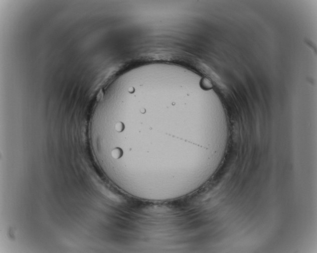 X0000097510537200803142043