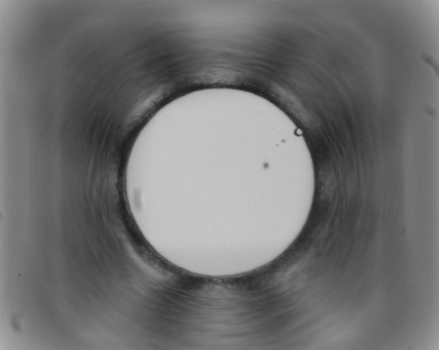 X0000097510538200803142043