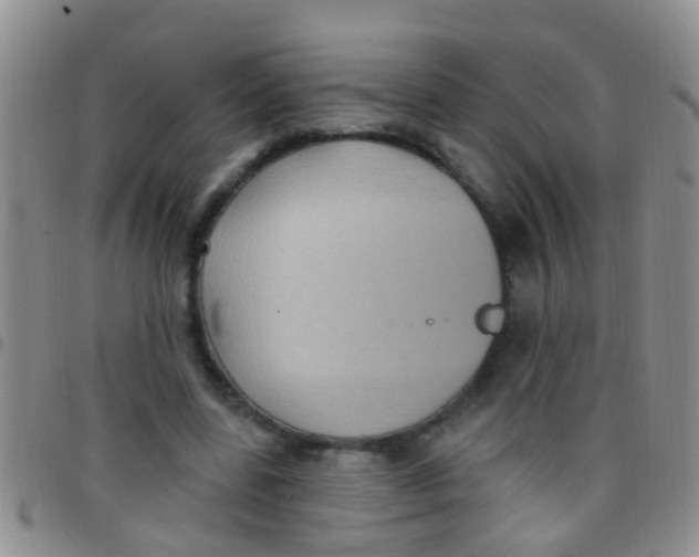 X0000097510539200803142043