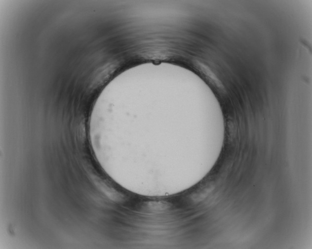X0000097510541200803142043