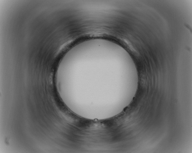X0000097510543200803142043