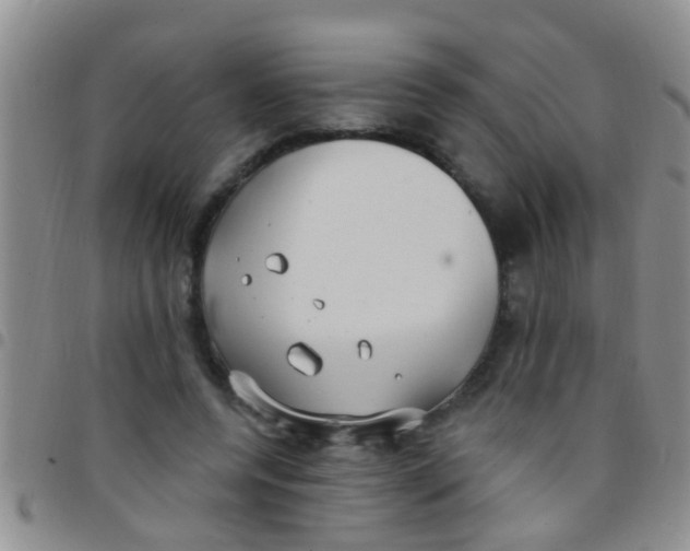 X0000097510544200803142043