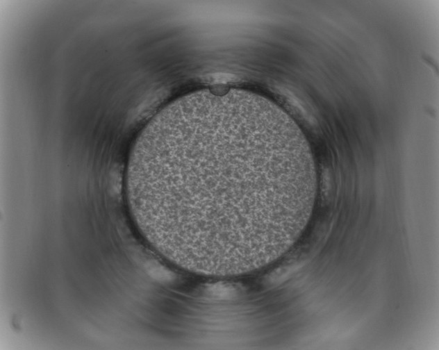 X0000097510545200803142043