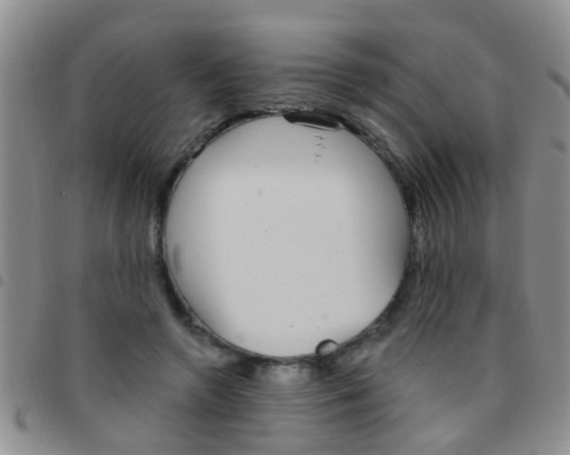 X0000097510546200803142043