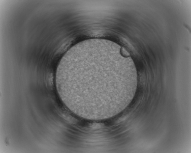 X0000097510549200803142043
