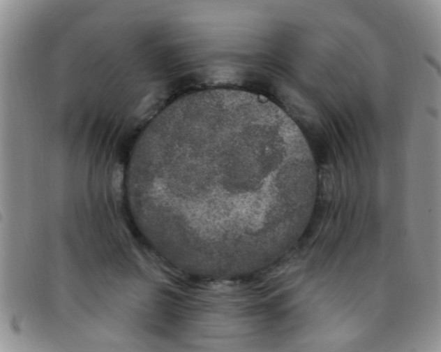 X0000097510550200803142043
