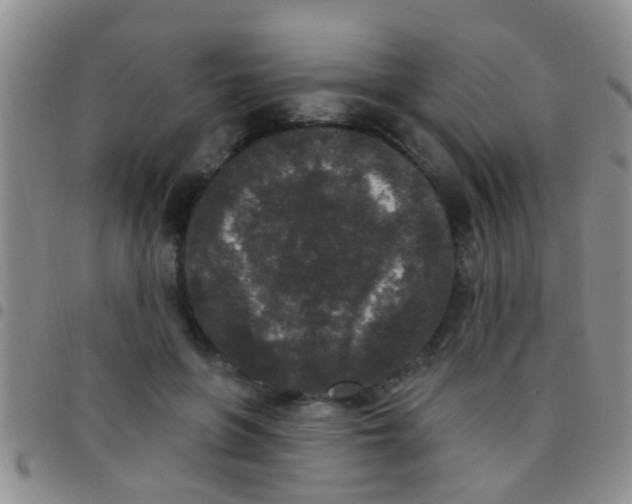 X0000097510551200803142043