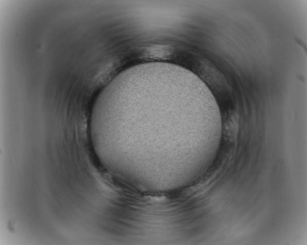 X0000097510552200803142043