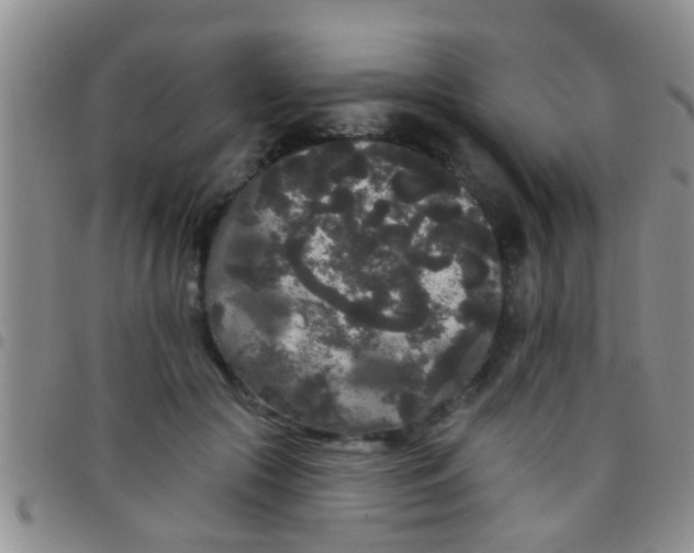 X0000097510553200803142043