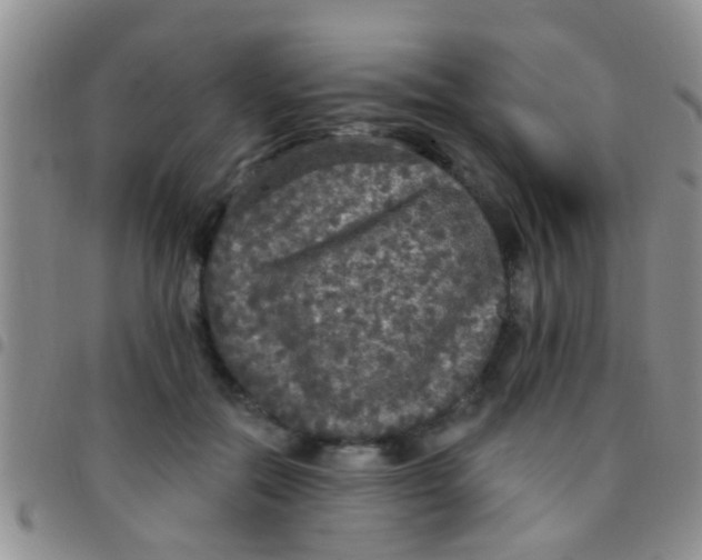 X0000097510554200803142043