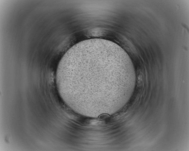 X0000097510555200803142043