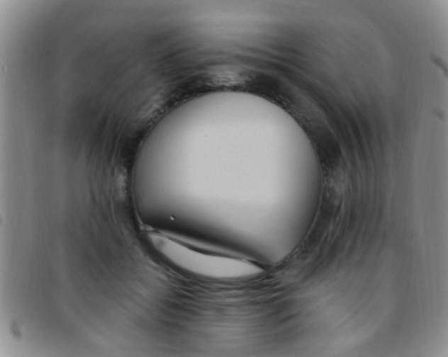 X0000097510556200803142043