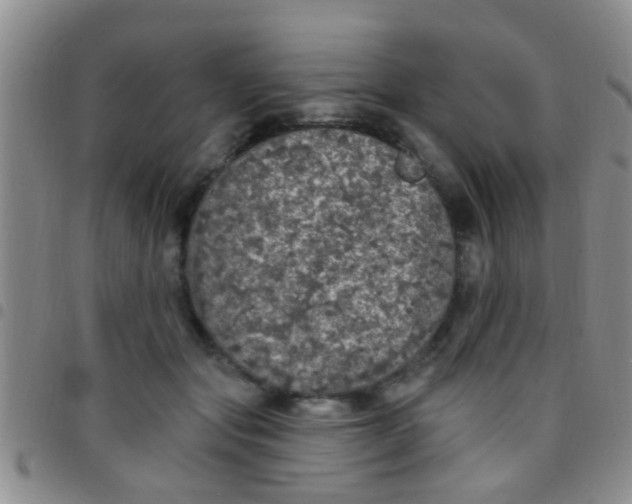 X0000097510557200803142043