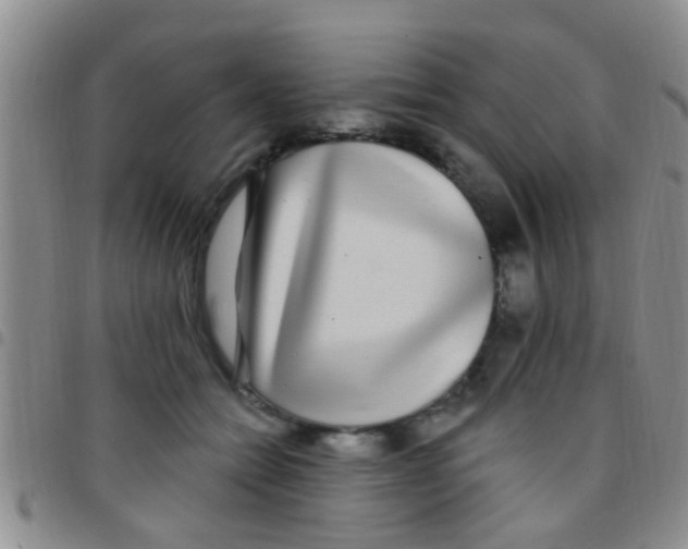 X0000097510558200803142043