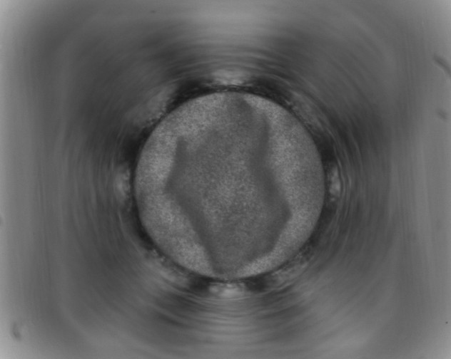 X0000097510559200803142043