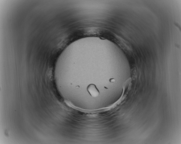 X0000097510560200803142043