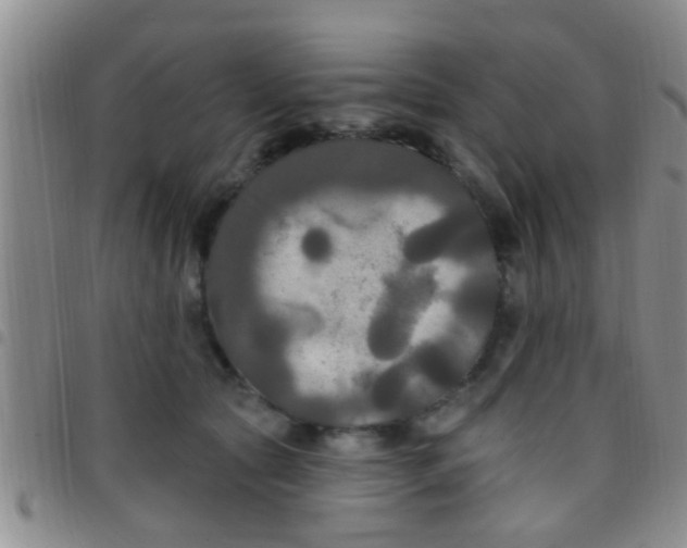 X0000097510561200803142043