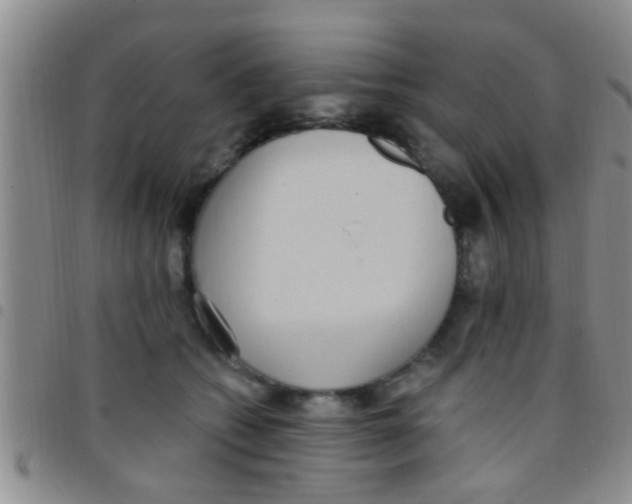 X0000097510562200803142043