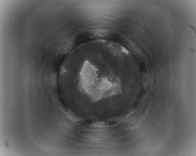X0000097510563200803142044