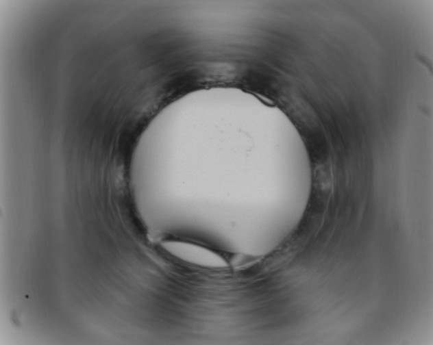 X0000097510564200803142044