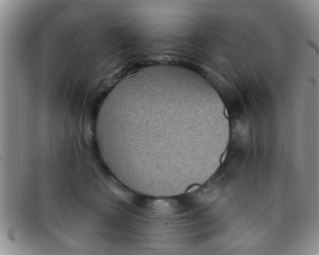 X0000097510566200803142044