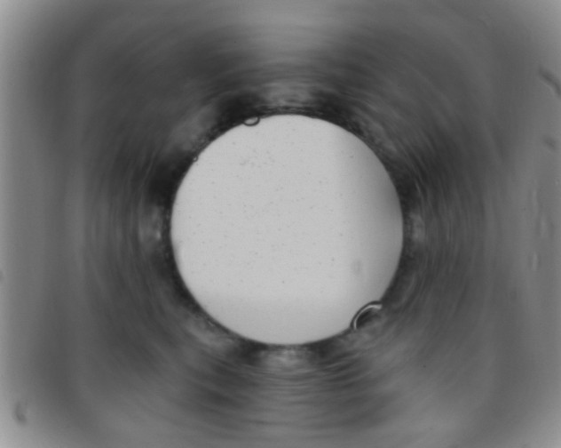 X0000097510567200803142044