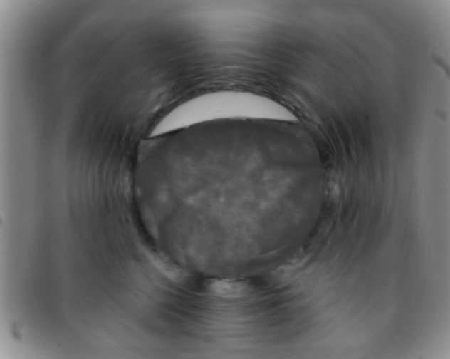 X0000097510568200803142044
