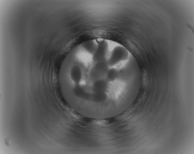 X0000097510569200803142044