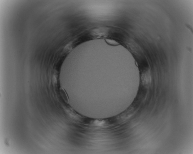 X0000097510570200803142044
