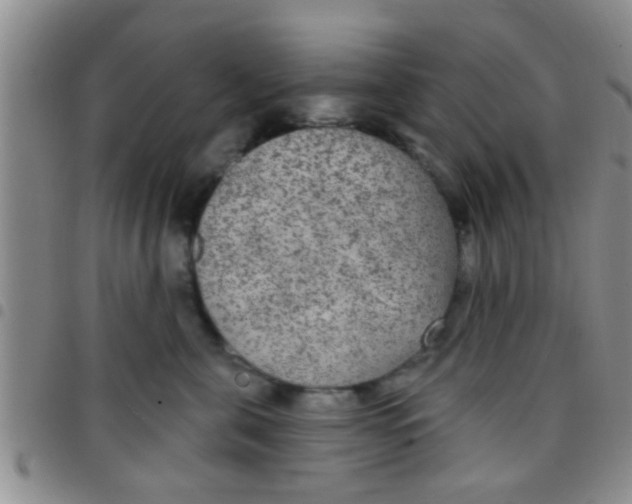 X0000097510571200803142044
